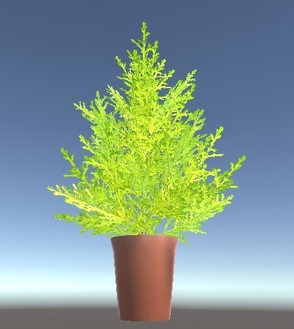 「ゴールドクレスト」【3Dモデル】