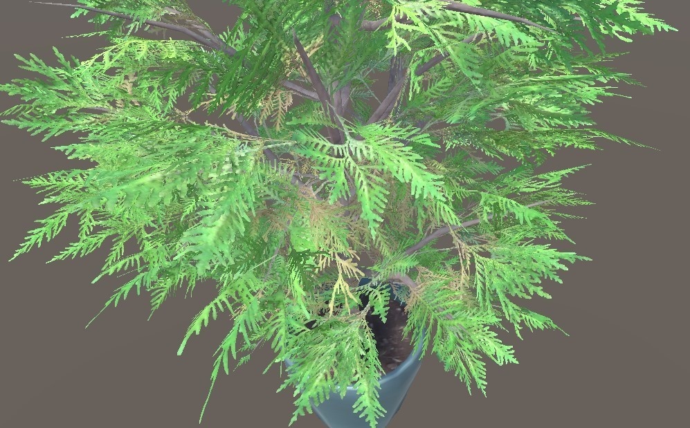 「コニファー低木」【3Dモデル】
