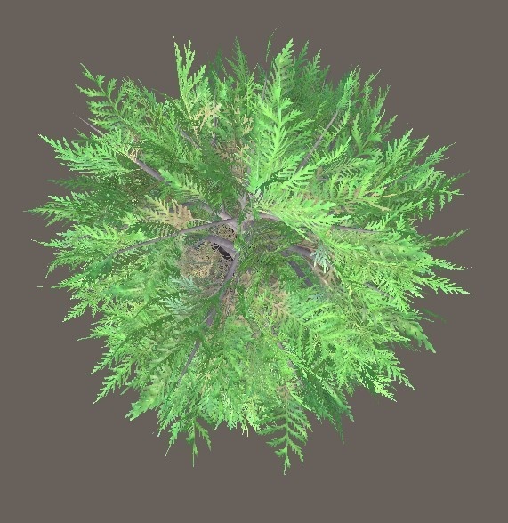 「コニファー低木」【3Dモデル】