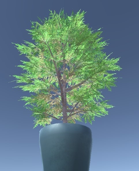 「コニファー低木」【3Dモデル】
