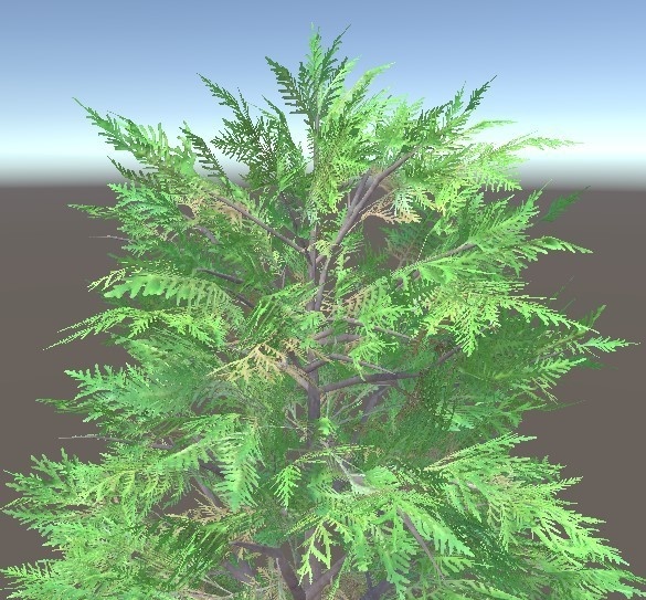 「コニファー低木」【3Dモデル】