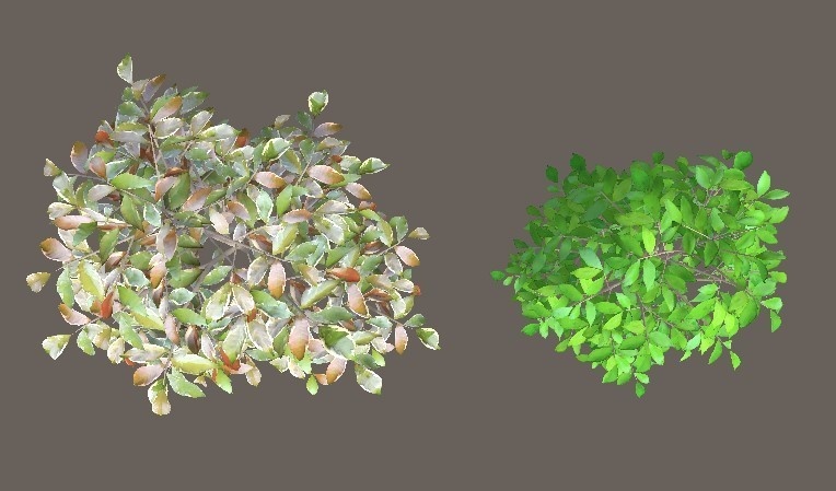 「サカキ」【3Dモデル】