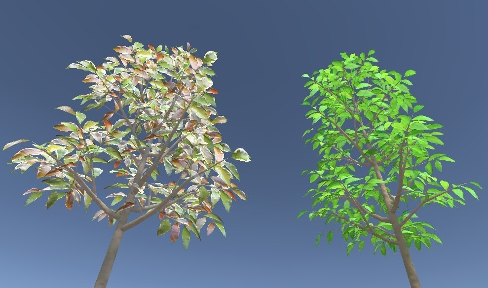 「サカキ」【3Dモデル】