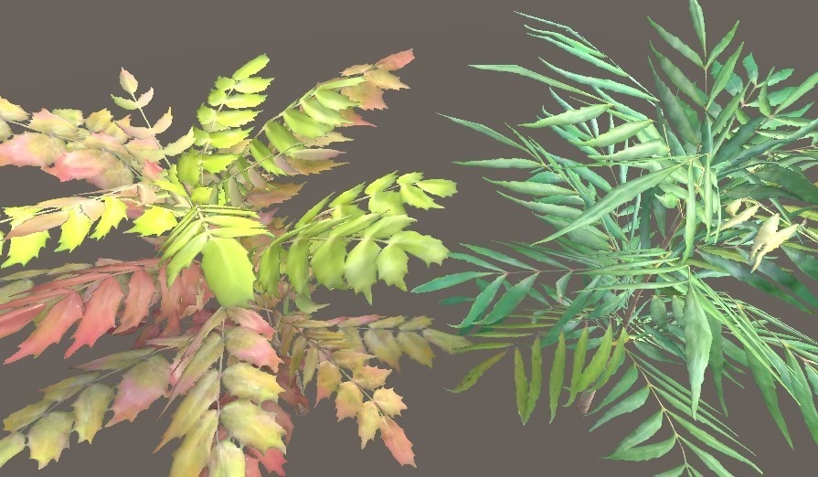 「ヒイラギナンテン」【3Dモデル】