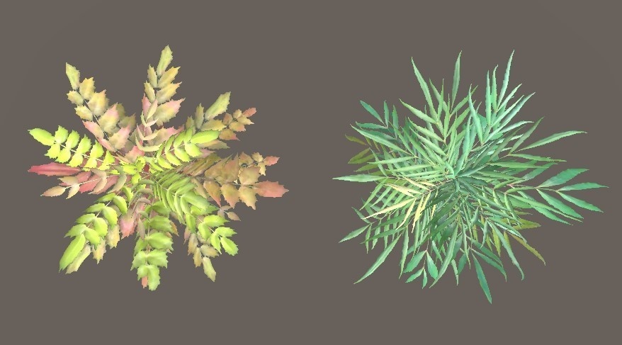 「ヒイラギナンテン」【3Dモデル】