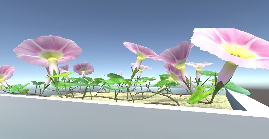 「ハマヒルガオ」【3Dモデル】