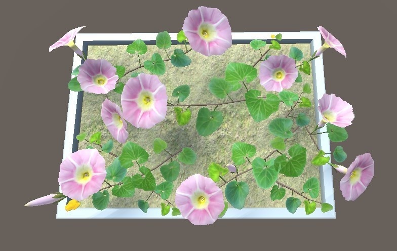 「ハマヒルガオ」【3Dモデル】