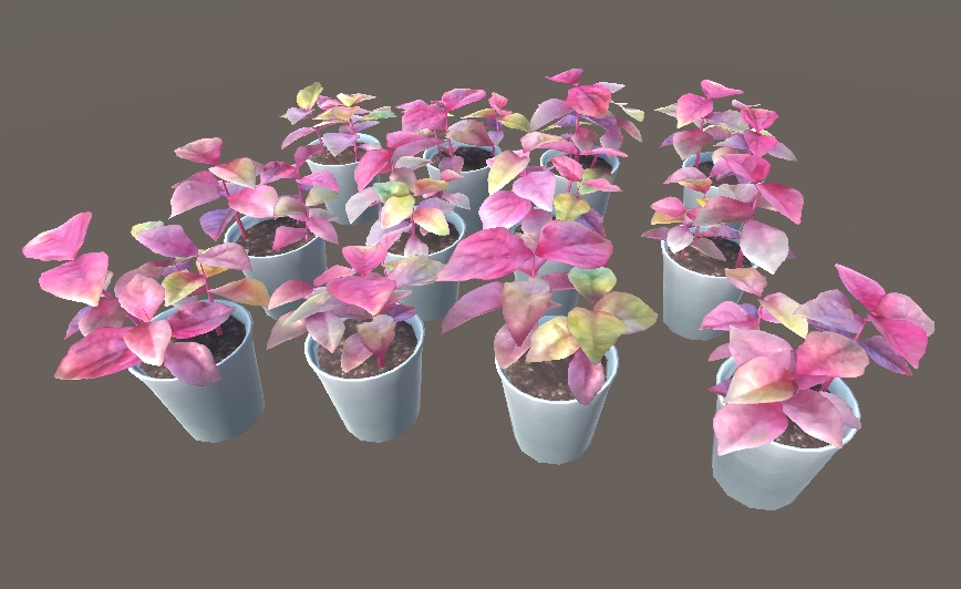 「アルテルナンテラ」【3Dモデル】