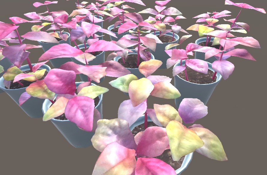 「アルテルナンテラ」【3Dモデル】