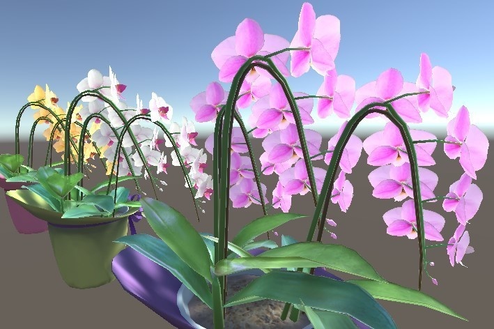 「胡蝶蘭」【3Dモデル】