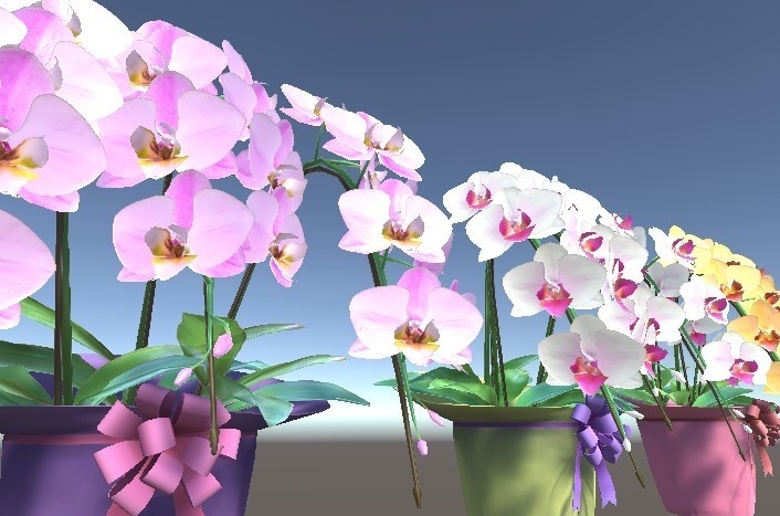 「胡蝶蘭」【3Dモデル】