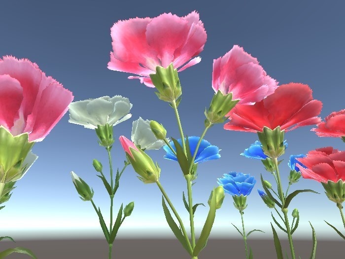 「カーネーション」【3Dモデル】