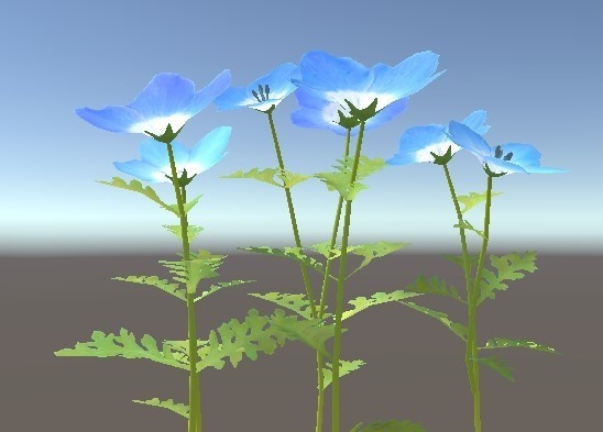 「ネモフィラ」【3Dモデル】