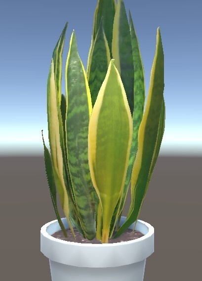 「サンセベリア」【3Dモデル】