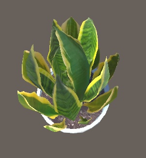 「サンセベリア」【3Dモデル】