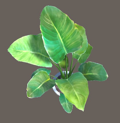 「ストレチア」【3Dモデル】