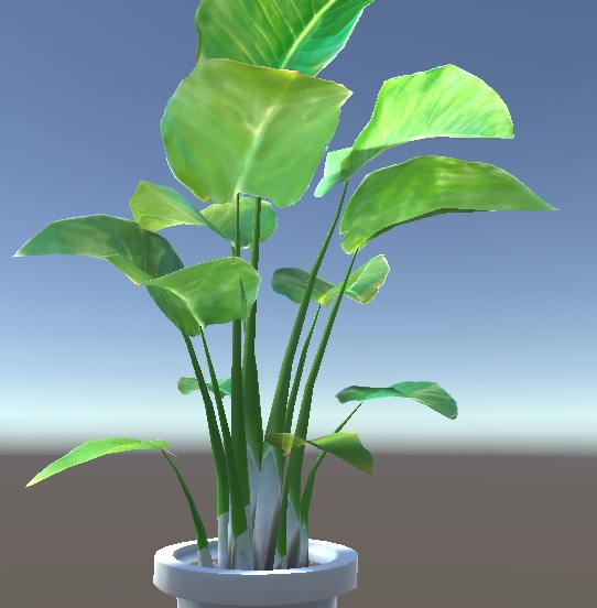 「ストレチア」【3Dモデル】