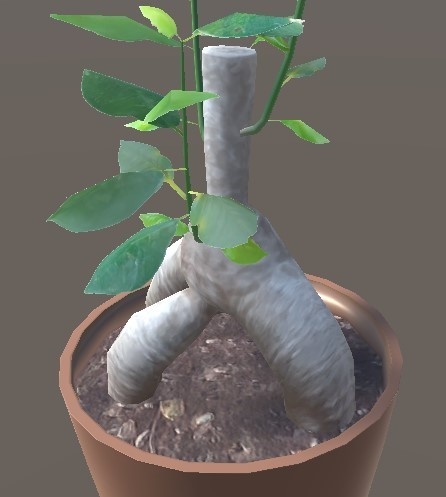 「ガジュマル」【3Dモデル】