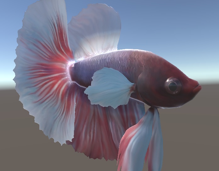 「ベタ(トウギョ)」【3Dモデル】
