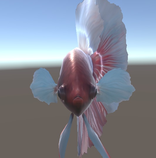 「ベタ(トウギョ)」【3Dモデル】