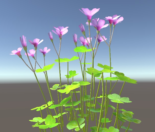 「イモカタバミ」【3Dモデル】