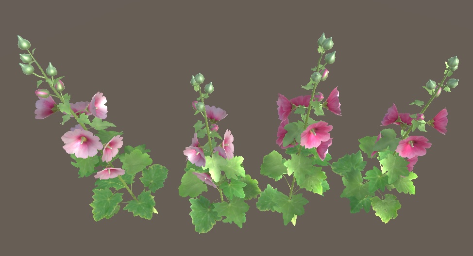 「タチアオイ(立葵)」【3Dモデル】