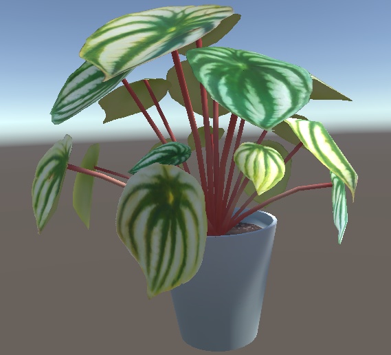 「ペペロニアアルギレイア(スイカペペ)」【3Dモデル】