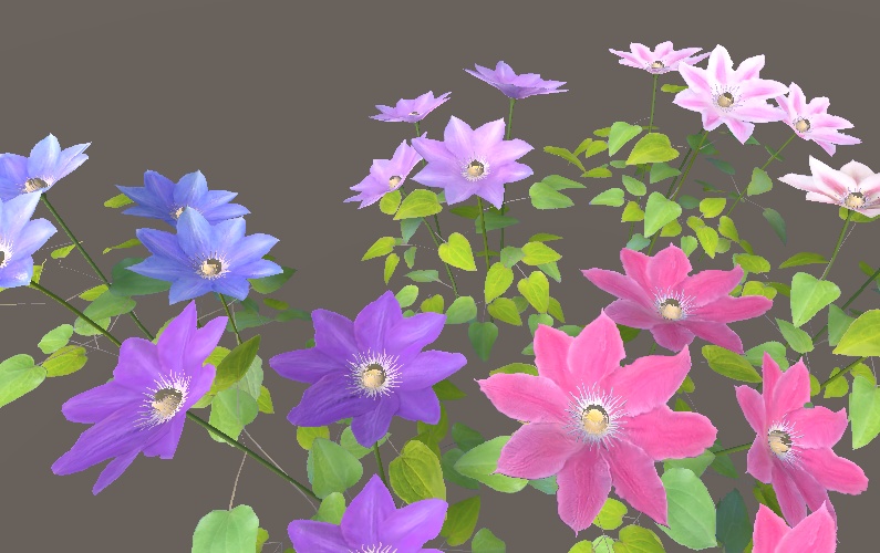 「クレマチス」【3Dモデル】