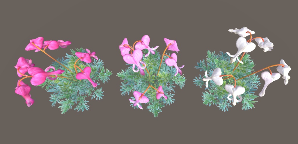 「コマクサ」【3Dモデル】