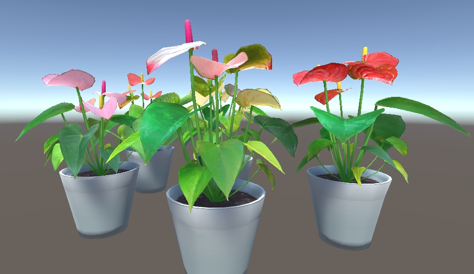 「アンスリウム」【3Dモデル】