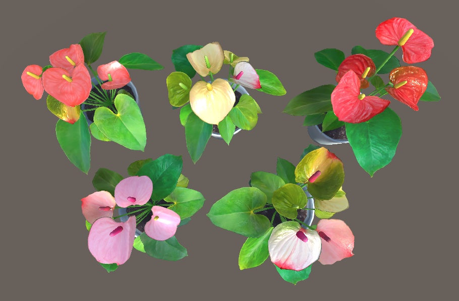 「アンスリウム」【3Dモデル】