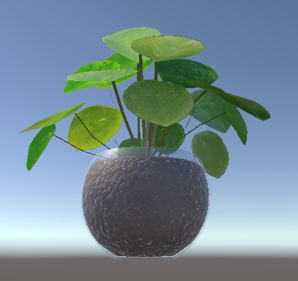 「ピレア・ペペロミオイデス」【3Dモデル】