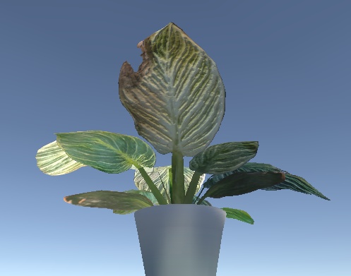 フィロデンドロン バーキン【3Dモデル】