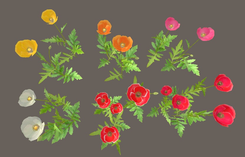 「ポピー(ヒナゲシ)」【3Dモデル】
