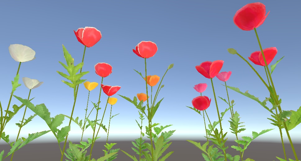 「ポピー(ヒナゲシ)」【3Dモデル】