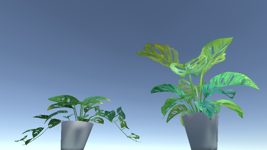 「マドカズラ」【3Dモデル】