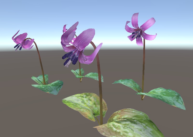 「カタクリ」【3Dモデル】