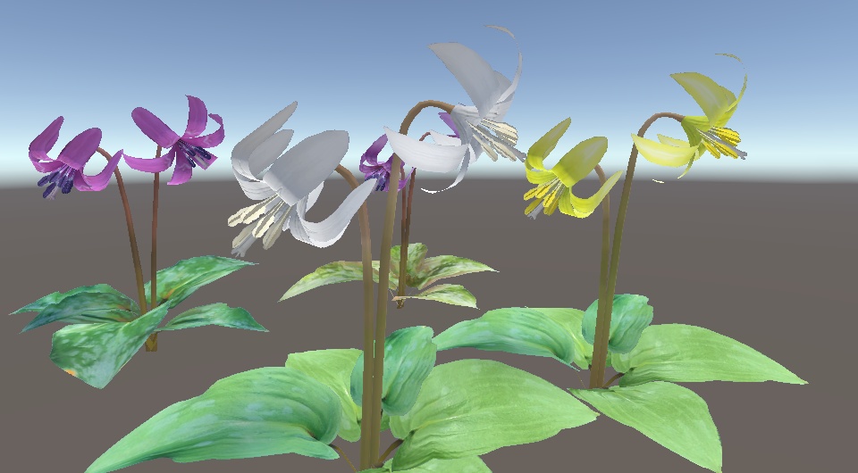 「カタクリ」【3Dモデル】