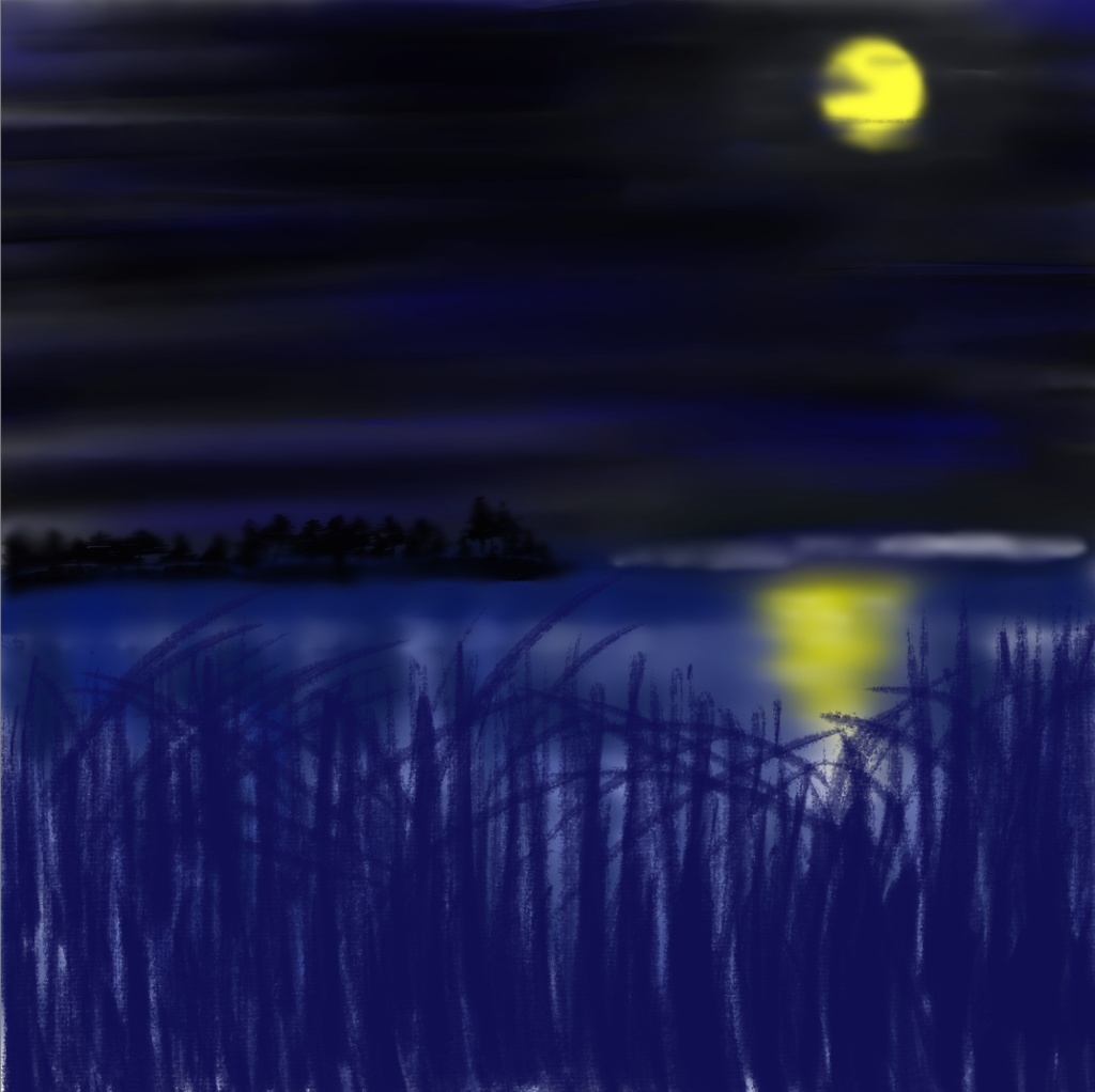 夜の湖畔/Lakeside Night