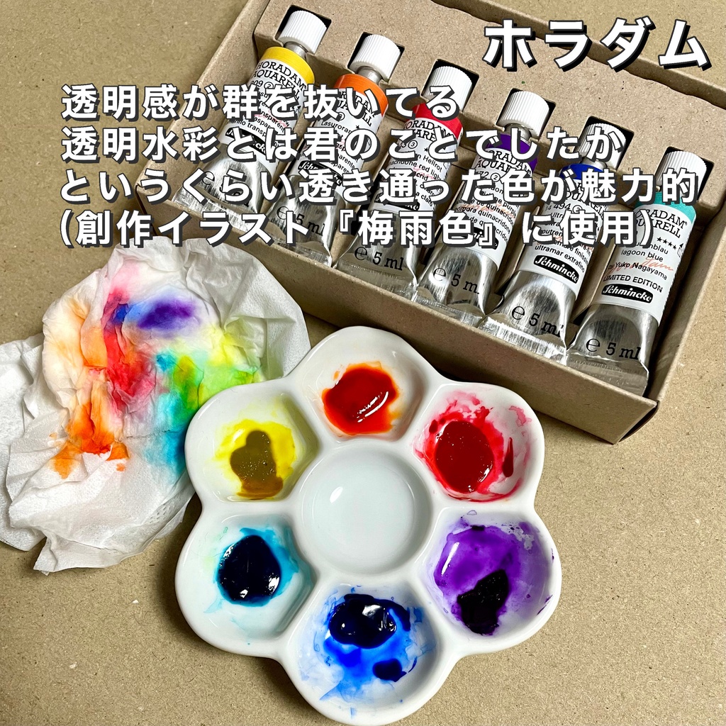 着色選択用※説明文をお読みください