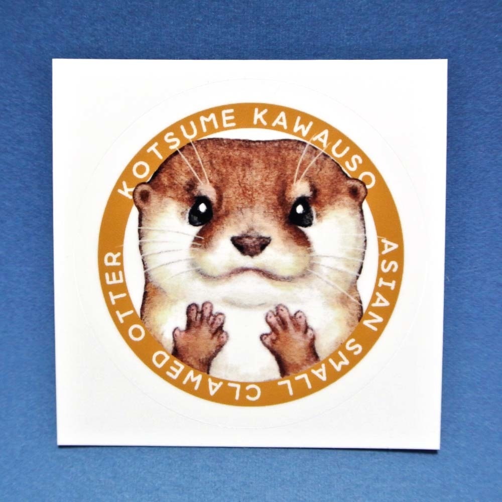 カワウソ耐水ステッカー(日本の水族館で会える4種のカワウソ柄)