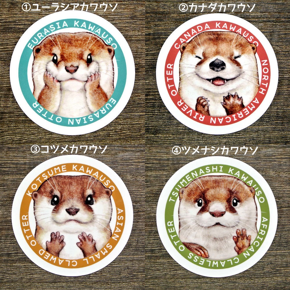 カワウソ耐水ステッカー（日本の水族館で会える4種のカワウソ柄）