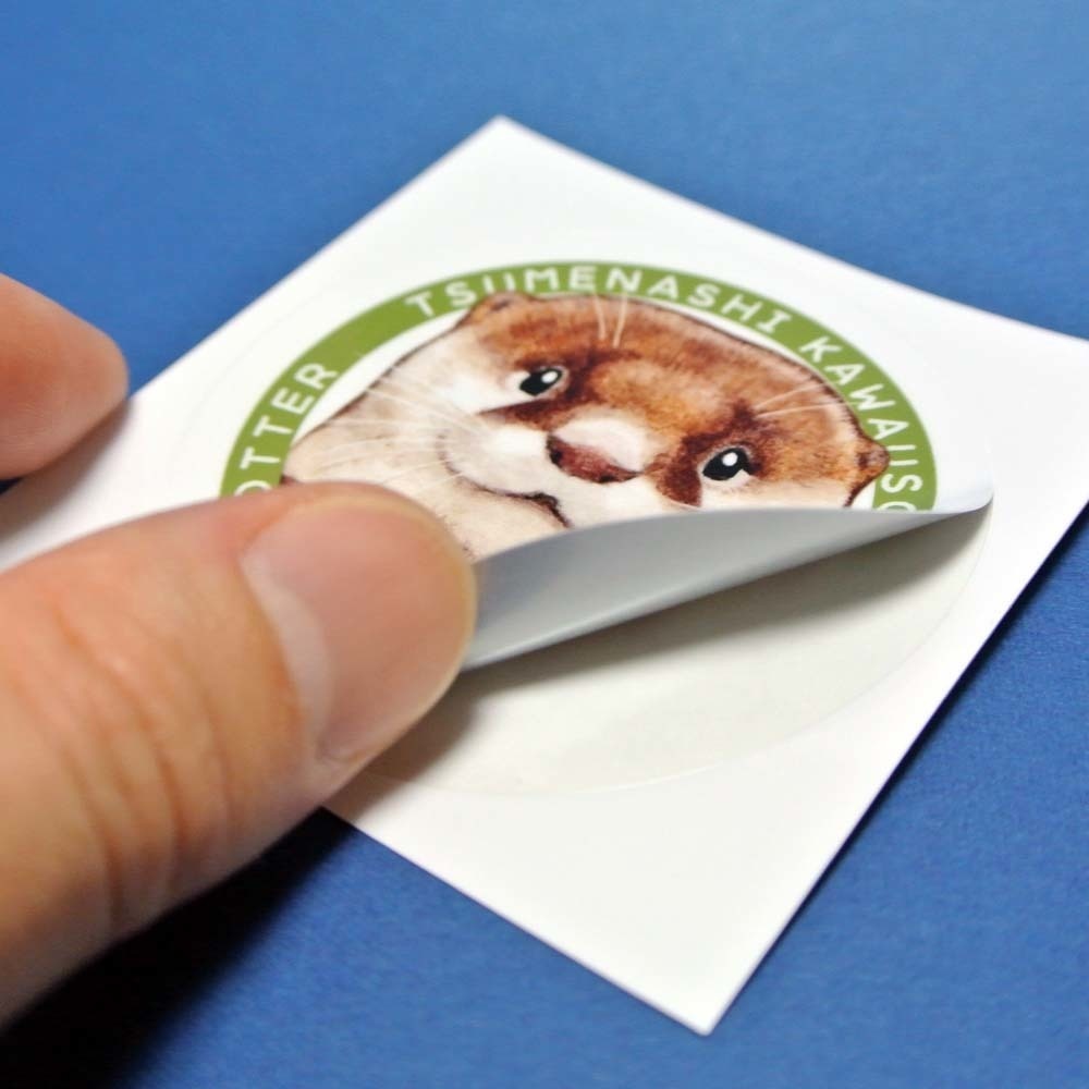 カワウソ耐水ステッカー(日本の水族館で会える4種のカワウソ柄)