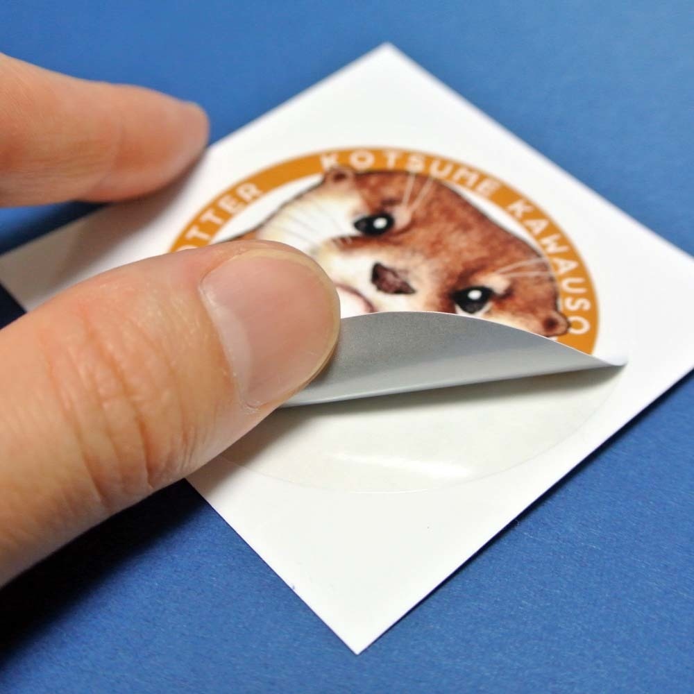 カワウソ耐水ステッカー(日本の水族館で会える4種のカワウソ柄)