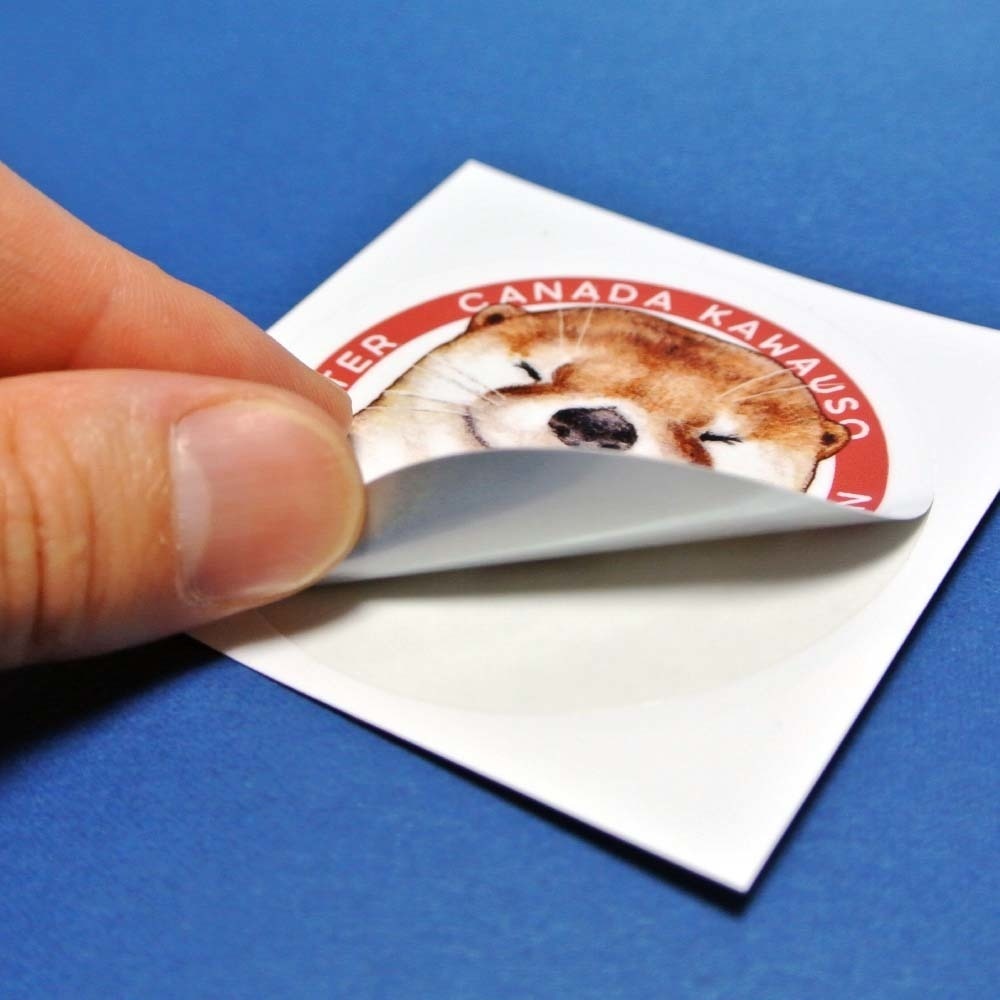 カワウソ耐水ステッカー(日本の水族館で会える4種のカワウソ柄)