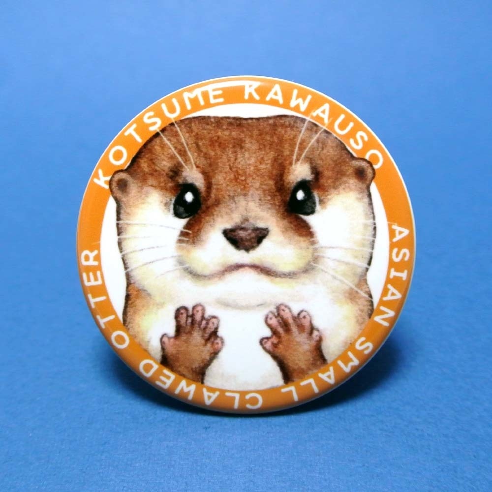 カワウソ缶バッジ(日本の水族館で会える4種のカワウソ柄)