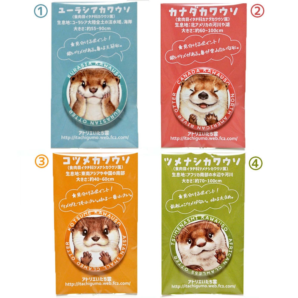 カワウソ缶バッジ（日本の水族館で会える4種のカワウソ柄）
