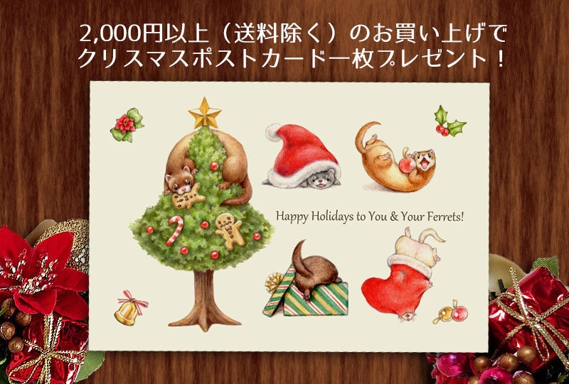 🎄2,000円以上お買い上げでXmasプレゼント中！🎄