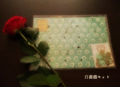 【薔薇を携え】デザインペーパーセット