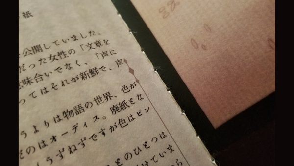 【ZINE】手製本始めてました!~約10年のざっくりした備忘録~